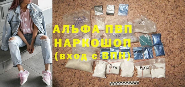 индика Касимов