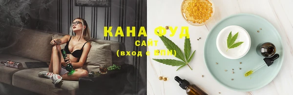 индика Касимов
