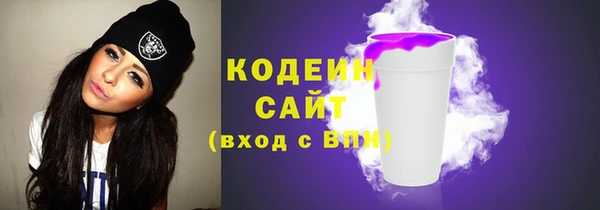 индика Карталы