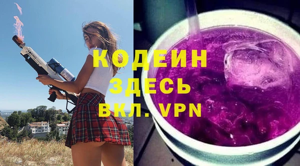 индика Касимов