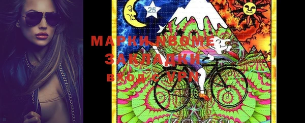 индика Карталы