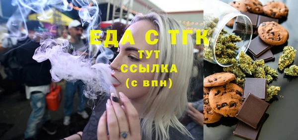 индика Касимов