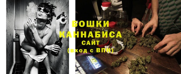 эйфоретик Карпинск