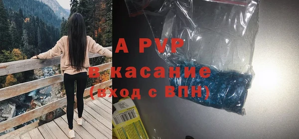 эйфоретик Карпинск