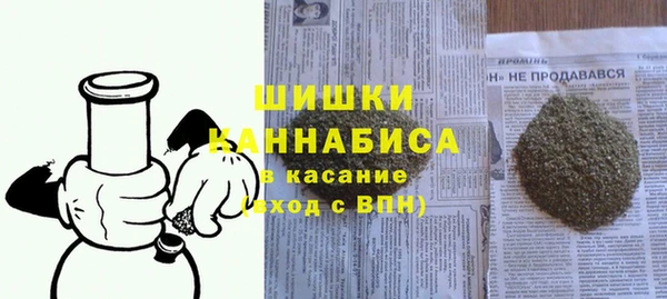 индика Касимов