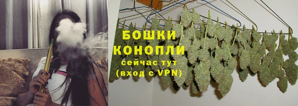 эйфоретик Карпинск