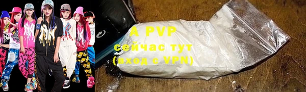 индика Касимов