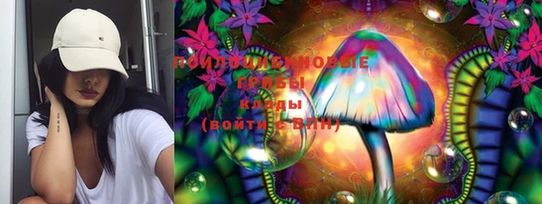 индика Карталы