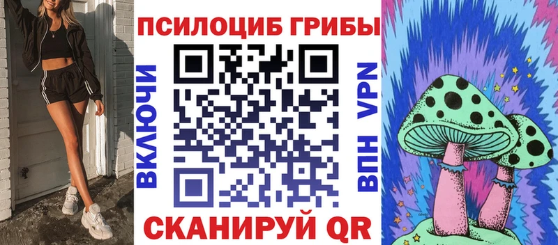 Псилоцибиновые грибы Psilocybine cubensis  Купить закладки  Дальнереченск 